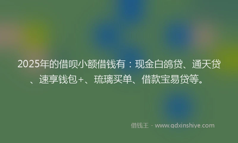 2025年的借呗小额借钱有：现金白鸽贷、通天贷、速享钱包+、琉璃买单、借款宝易贷等。