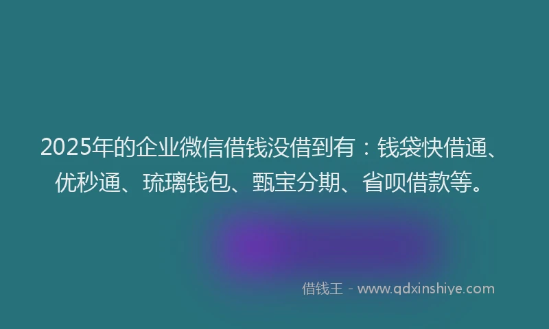 2025年的企业微信借钱没借到有：钱袋快借通、优秒通、琉璃钱包、甄宝分期、省呗借款等。