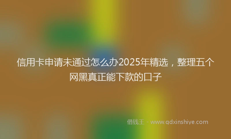 信用卡申请未通过怎么办2025年精选，整理五个网黑真正能下款的口子