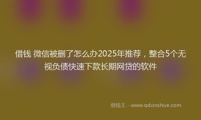 借钱 微信被删了怎么办2025年推荐，整合5个无视负债快速下款长期网贷的软件
