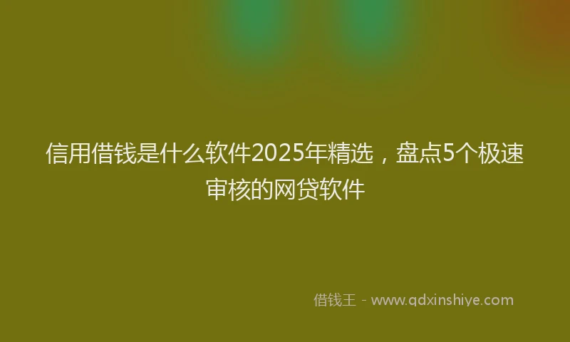 信用借钱是什么软件2025年精选，盘点5个极速审核的网贷软件