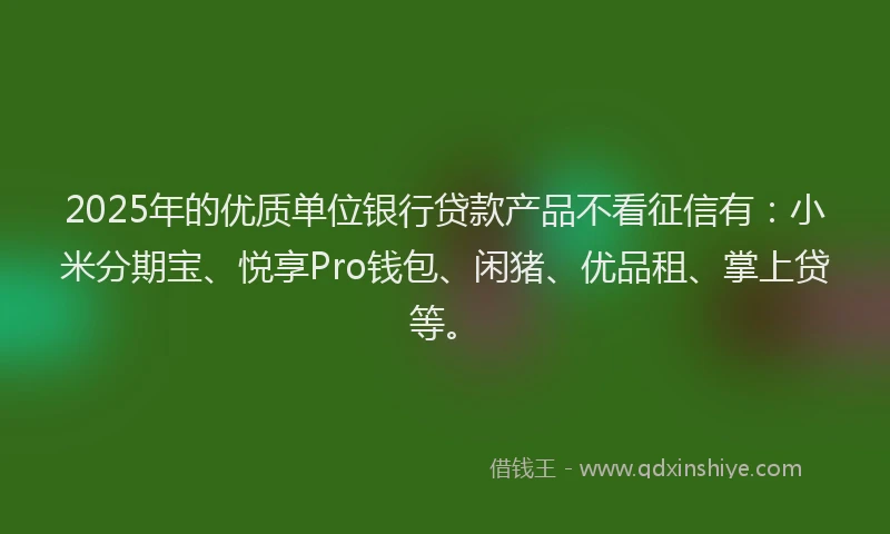 2025年的优质单位银行贷款产品不看征信有：小米分期宝、悦享Pro钱包、闲猪、优品租、掌上贷等。