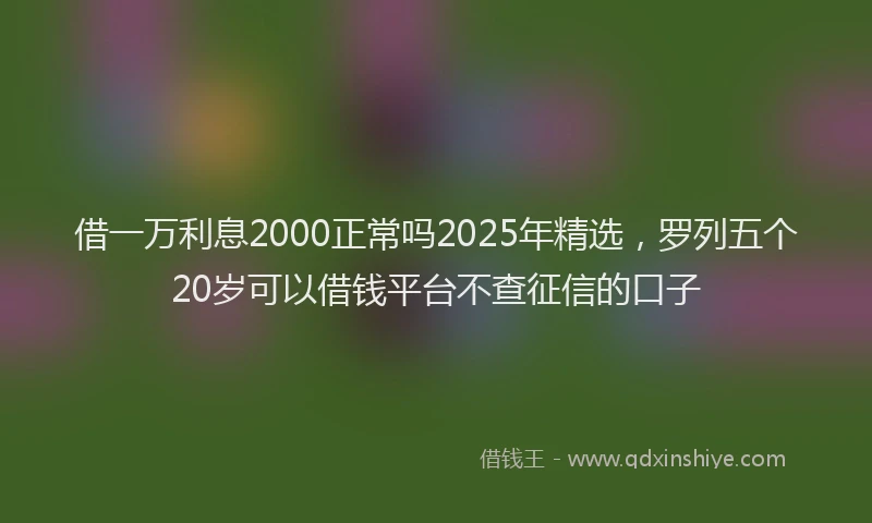 借一万利息2000正常吗2025年精选，罗列五个20岁可以借钱平台不查征信的口子