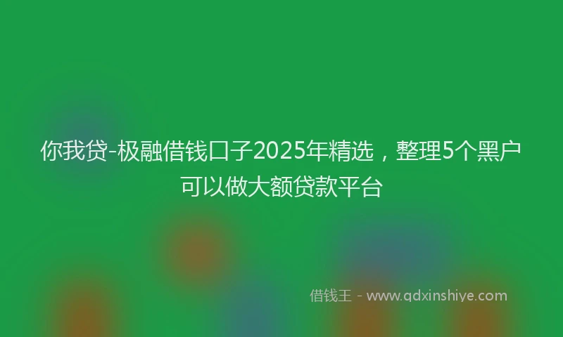 你我贷-极融借钱口子2025年精选，整理5个黑户可以做大额贷款平台