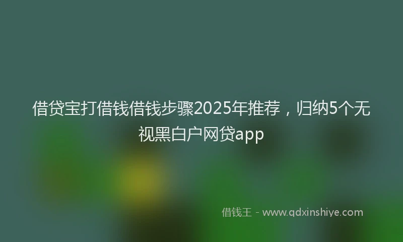 借贷宝打借钱借钱步骤2025年推荐，归纳5个无视黑白户网贷app