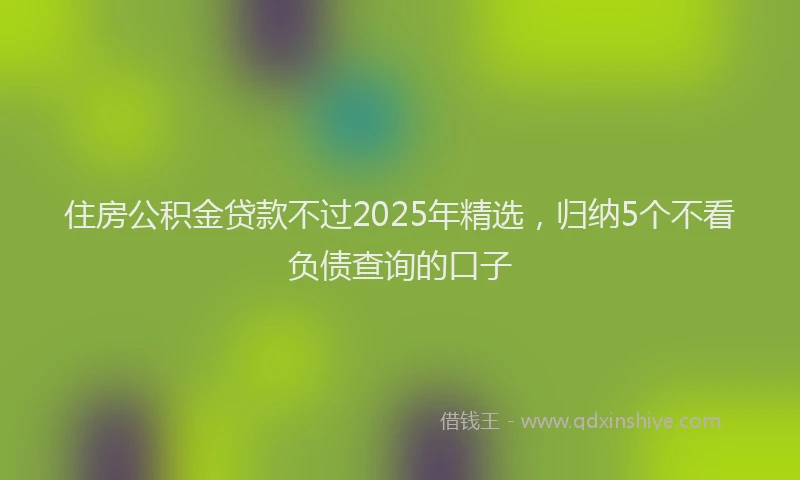 住房公积金贷款不过2025年精选，归纳5个不看负债查询的口子
