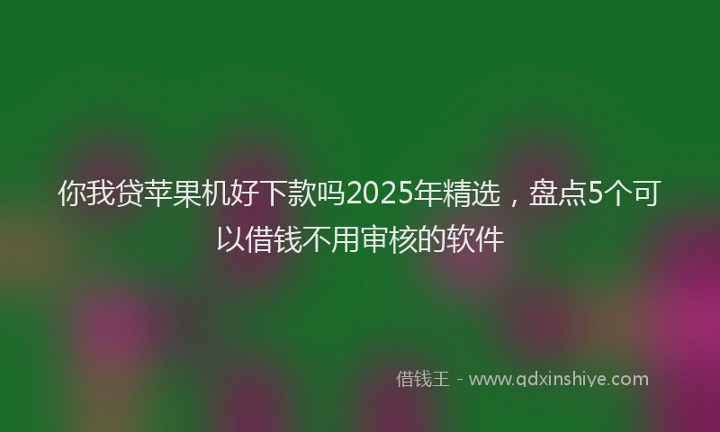 你我贷苹果机好下款吗2025年精选，盘点5个可以借钱不用审核的软件