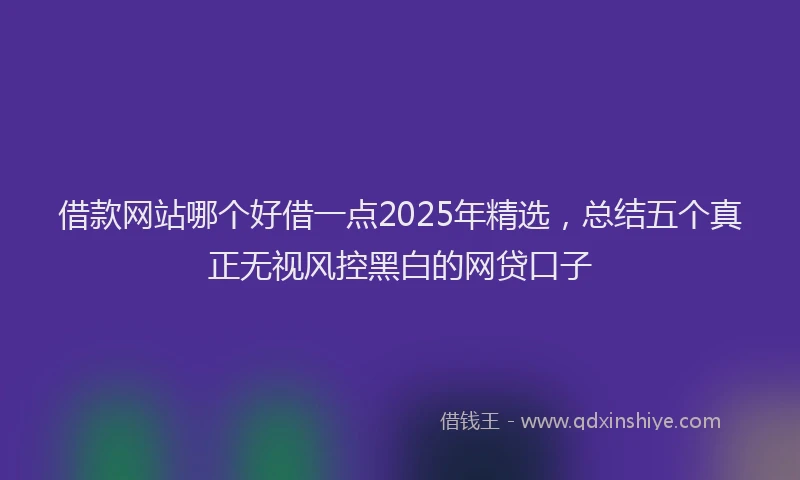 借款网站哪个好借一点2025年精选，总结五个真正无视风控黑白的网贷口子