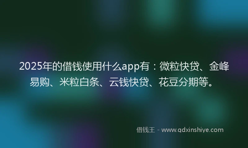 2025年的借钱使用什么app有：微粒快贷、金峰易购、米粒白条、云钱快贷、花豆分期等。