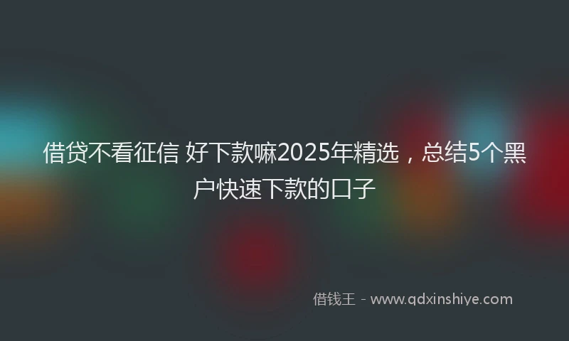 借贷不看征信 好下款嘛2025年精选，总结5个黑户快速下款的口子