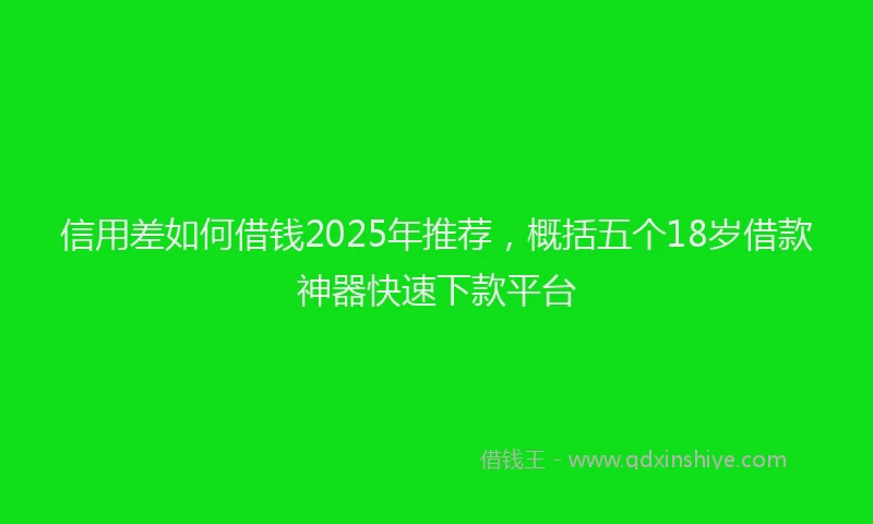 信用差如何借钱2025年推荐，概括五个18岁借款神器快速下款平台