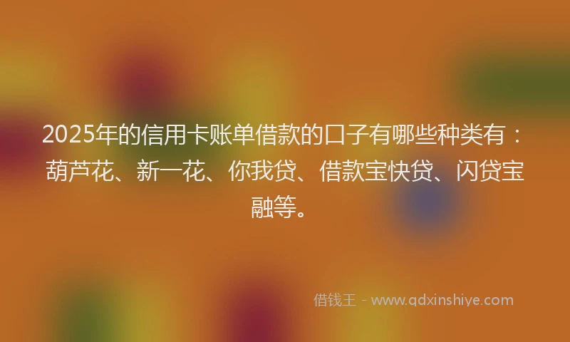 2025年的信用卡账单借款的口子有哪些种类有：葫芦花、新一花、你我贷、借款宝快贷、闪贷宝融等。