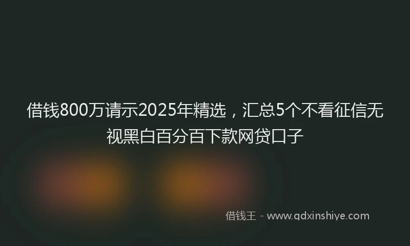 借钱800万请示2025年精选，汇总5个不看征信无视黑白百分百下款网贷口子