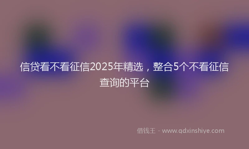信贷看不看征信2025年精选，整合5个不看征信查询的平台