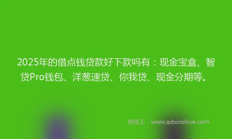 2025年的借点钱贷款好下款吗有：现金宝盒、智贷Pro钱包、洋葱速贷、你我贷、现金分期等。