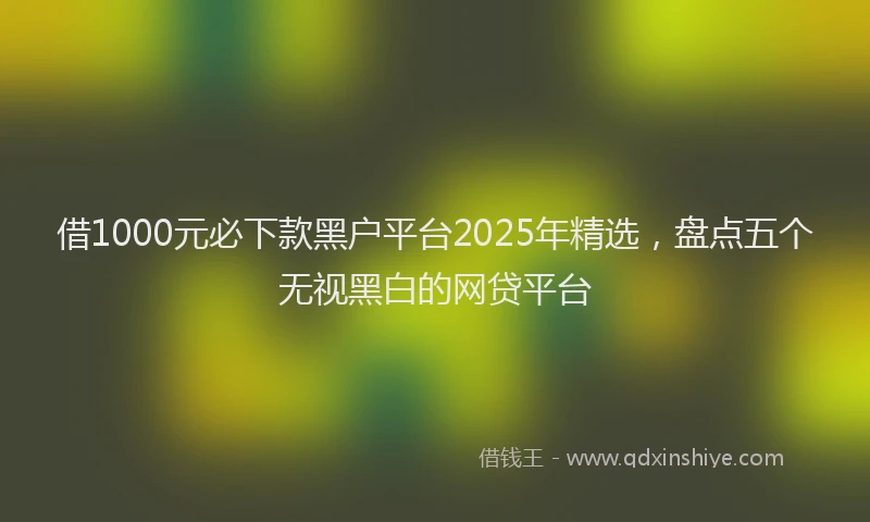 借1000元必下款黑户平台2025年精选，盘点五个无视黑白的网贷平台