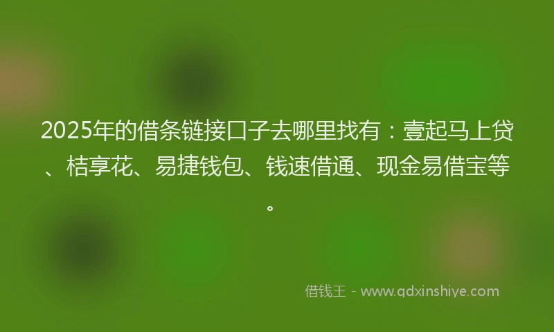 2025年的借条链接口子去哪里找有：壹起马上贷、桔享花、易捷钱包、钱速借通、现金易借宝等。