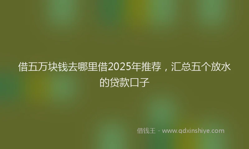 借五万块钱去哪里借2025年推荐，汇总五个放水的贷款口子