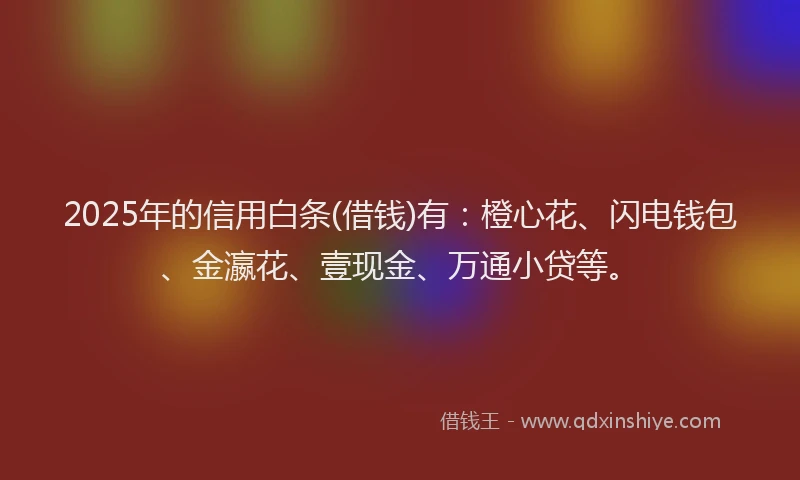 2025年的信用白条(借钱)有：橙心花、闪电钱包、金瀛花、壹现金、万通小贷等。