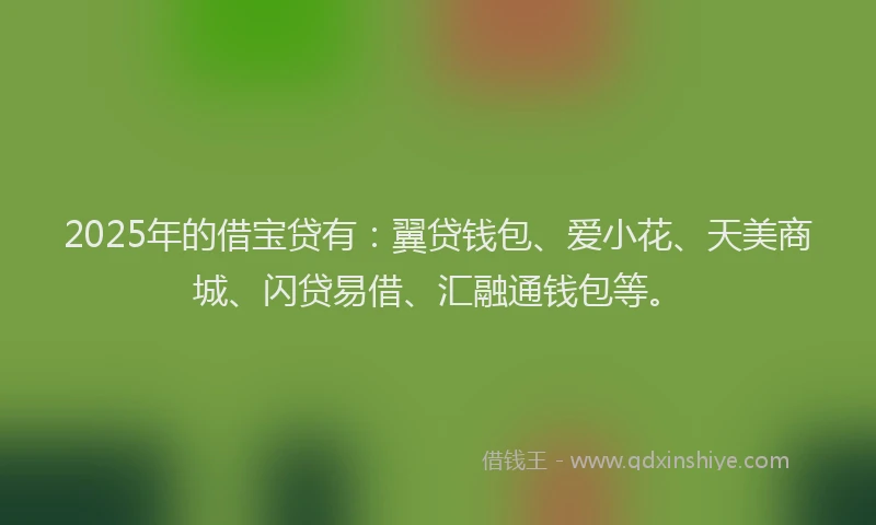 2025年的借宝贷有：翼贷钱包、爱小花、天美商城、闪贷易借、汇融通钱包等。