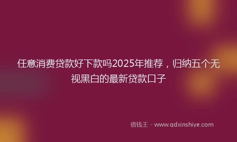 任意消费贷款好下款吗2025年推荐，归纳五个无视黑白的最新贷款口子