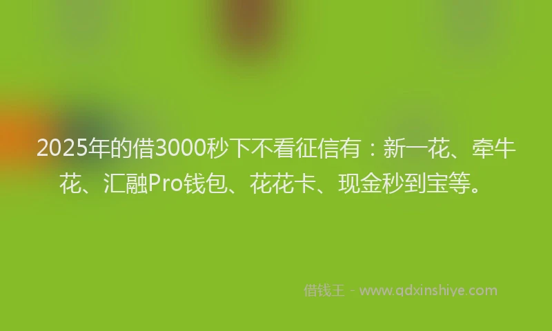 2025年的借3000秒下不看征信有：新一花、牵牛花、汇融Pro钱包、花花卡、现金秒到宝等。