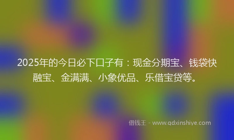 2025年的今日必下口子有：现金分期宝、钱袋快融宝、金满满、小象优品、乐借宝贷等。