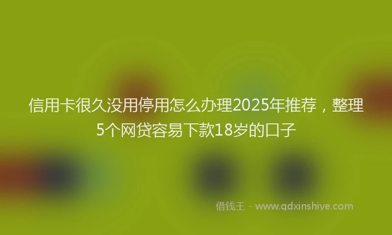 信用卡很久没用停用怎么办理2025年推荐，整理5个网贷容易下款18岁的口子