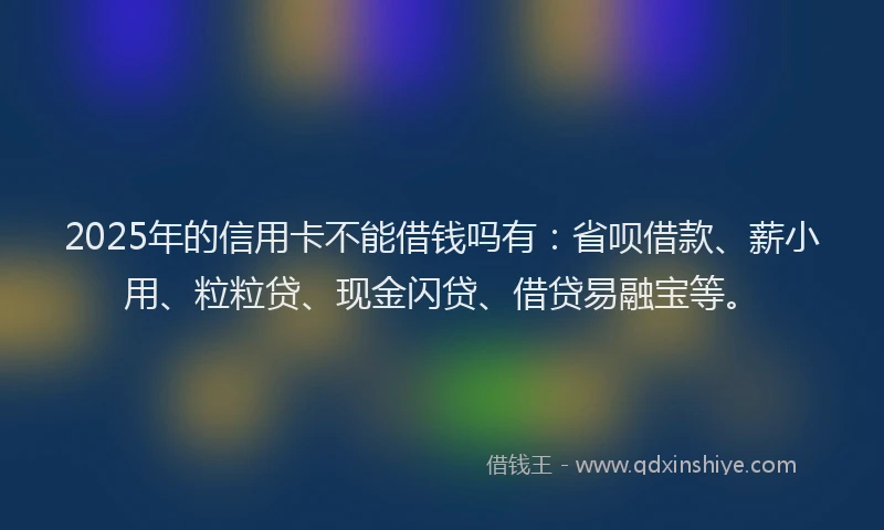 2025年的信用卡不能借钱吗有：省呗借款、薪小用、粒粒贷、现金闪贷、借贷易融宝等。