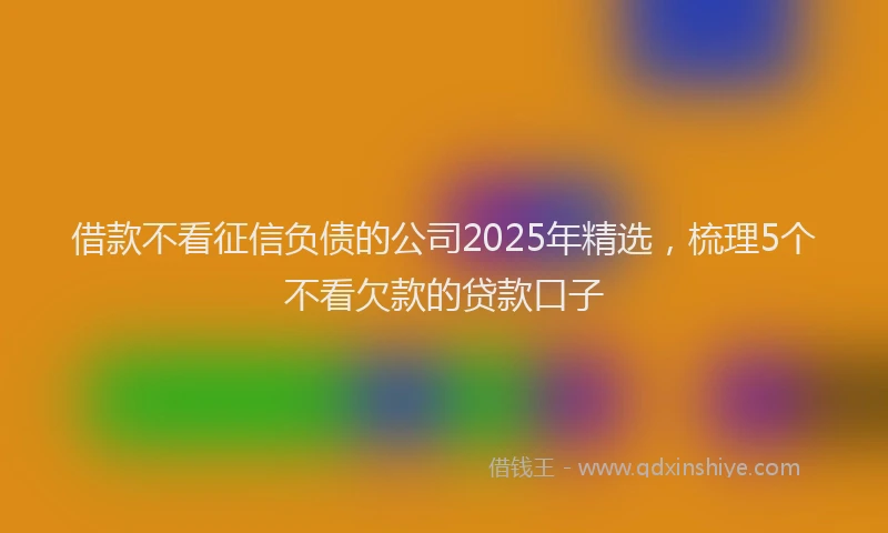 借款不看征信负债的公司2025年精选，梳理5个不看欠款的贷款口子