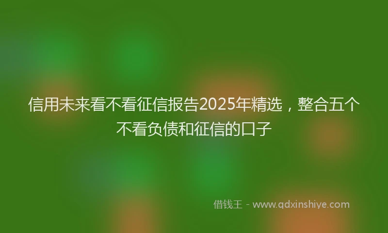 信用未来看不看征信报告2025年精选，整合五个不看负债和征信的口子