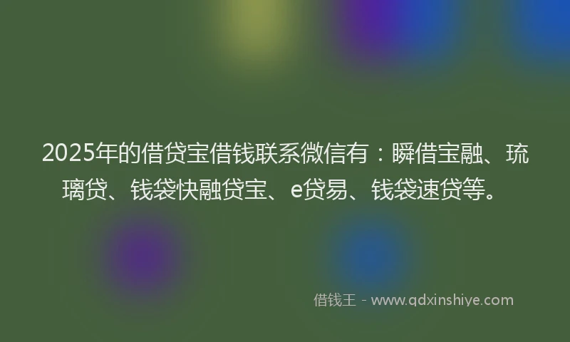 2025年的借贷宝借钱联系微信有：瞬借宝融、琉璃贷、钱袋快融贷宝、e贷易、钱袋速贷等。