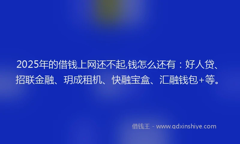2025年的借钱上网还不起,钱怎么还有：好人贷、招联金融、玥成租机、快融宝盒、汇融钱包+等。