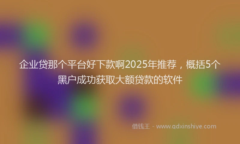 企业贷那个平台好下款啊2025年推荐，概括5个黑户成功获取大额贷款的软件