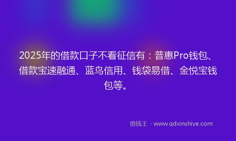 2025年的借款口子不看征信有：普惠Pro钱包、借款宝速融通、蓝鸟信用、钱袋易借、金悦宝钱包等。