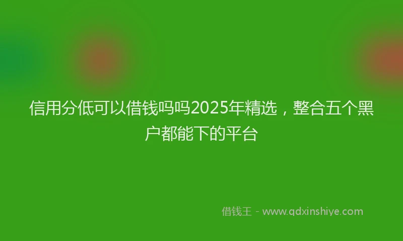 信用分低可以借钱吗吗2025年精选，整合五个黑户都能下的平台