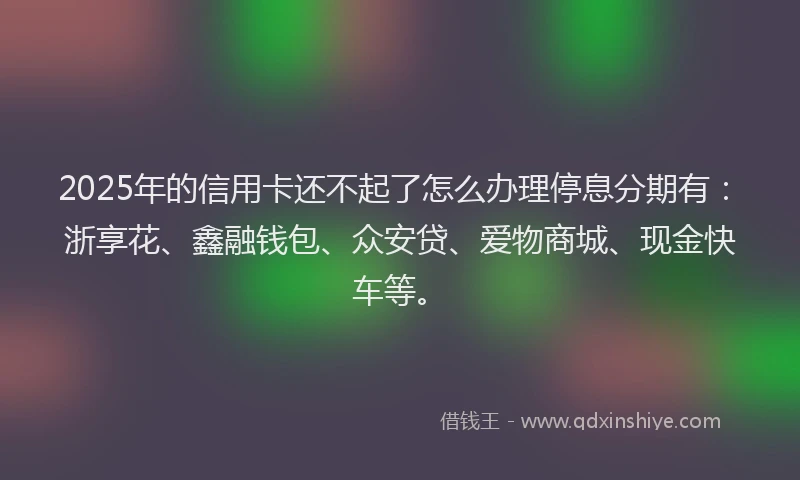 2025年的信用卡还不起了怎么办理停息分期有：浙享花、鑫融钱包、众安贷、爱物商城、现金快车等。