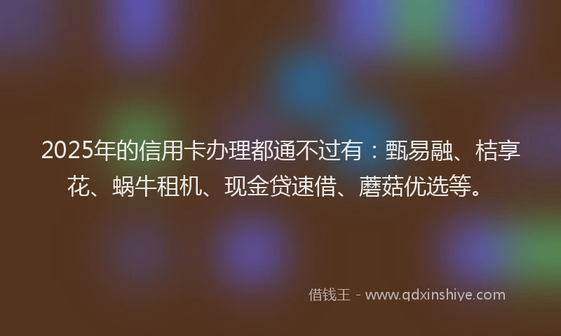 2025年的信用卡办理都通不过有：甄易融、桔享花、蜗牛租机、现金贷速借、蘑菇优选等。