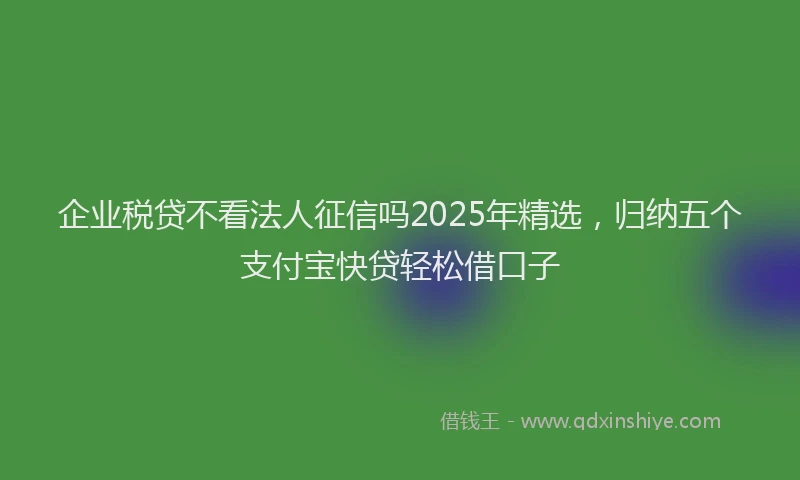 企业税贷不看法人征信吗2025年精选，归纳五个支付宝快贷轻松借口子