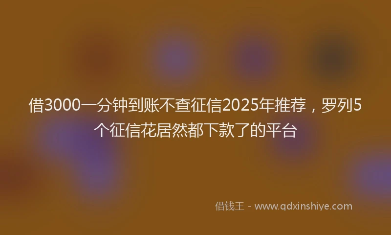 借3000一分钟到账不查征信2025年推荐，罗列5个征信花居然都下款了的平台