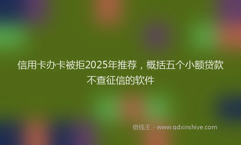信用卡办卡被拒2025年推荐，概括五个小额贷款不查征信的软件