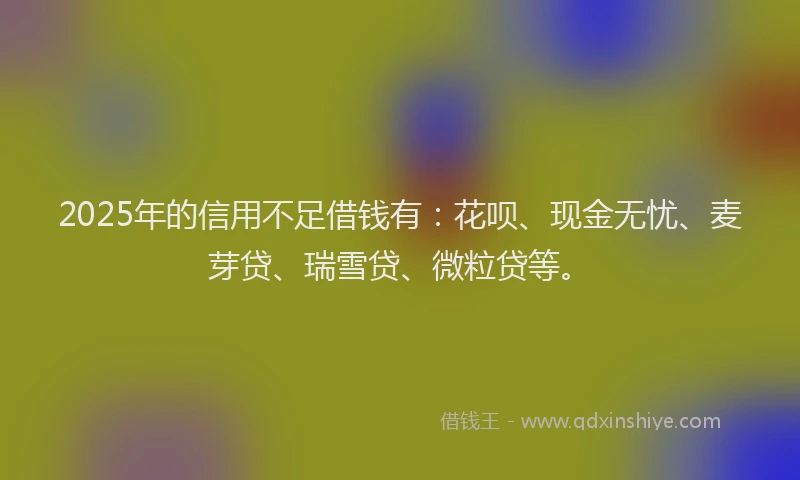 2025年的信用不足借钱有：花呗、现金无忧、麦芽贷、瑞雪贷、微粒贷等。