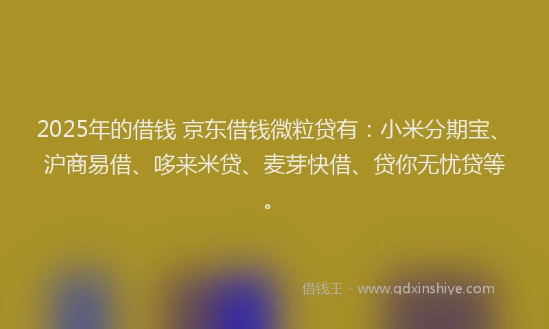 2025年的借钱 京东借钱微粒贷有：小米分期宝、沪商易借、哆来米贷、麦芽快借、贷你无忧贷等。