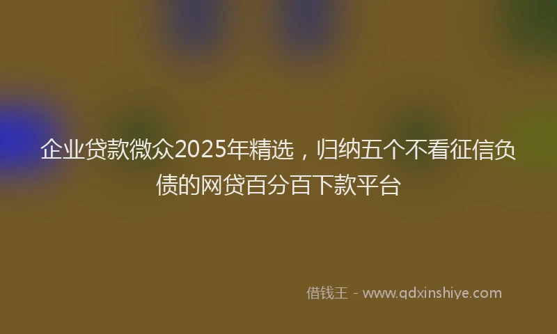 企业贷款微众2025年精选，归纳五个不看征信负债的网贷百分百下款平台