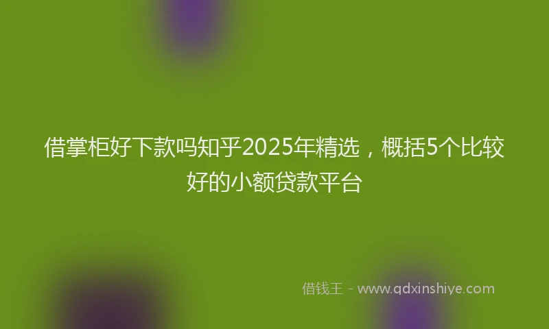 借掌柜好下款吗知乎2025年精选，概括5个比较好的小额贷款平台