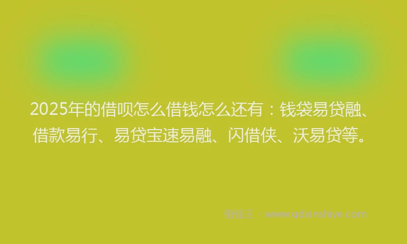 2025年的借呗怎么借钱怎么还有：钱袋易贷融、借款易行、易贷宝速易融、闪借侠、沃易贷等。