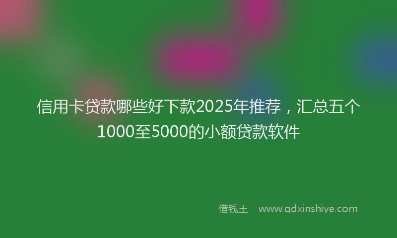 信用卡贷款哪些好下款2025年推荐，汇总五个1000至5000的小额贷款软件