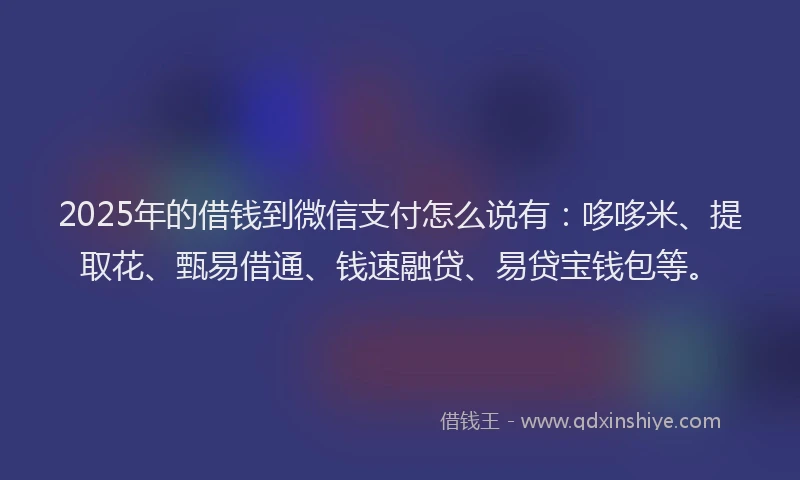 2025年的借钱到微信支付怎么说有：哆哆米、提取花、甄易借通、钱速融贷、易贷宝钱包等。