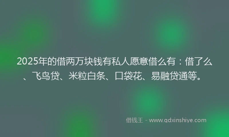 2025年的借两万块钱有私人愿意借么有：借了么、飞鸟贷、米粒白条、口袋花、易融贷通等。