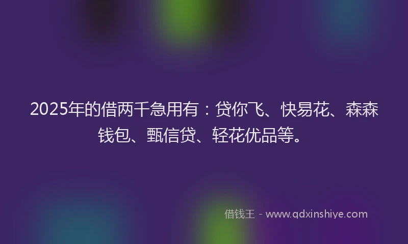 2025年的借两千急用有：贷你飞、快易花、森森钱包、甄信贷、轻花优品等。